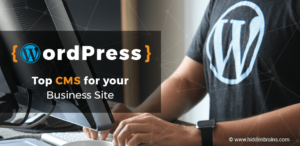 WordPress Development for your Business Site