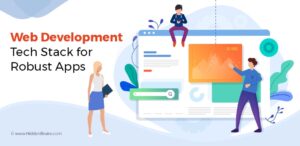 web development project